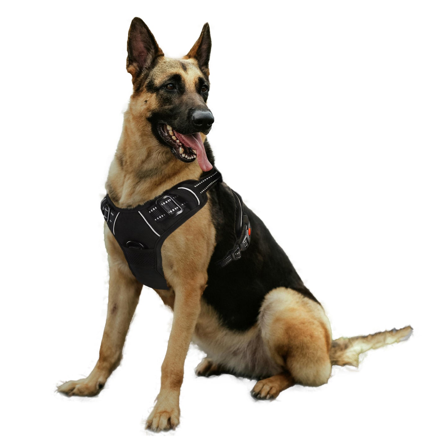 ARNÉS PARA PERROS BIHOTZAK