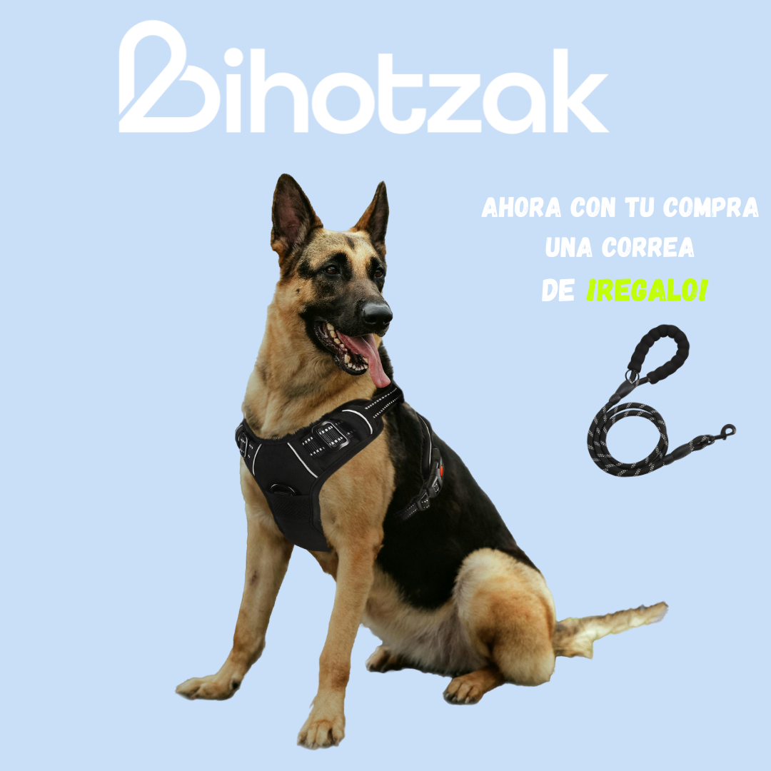 ARNÉS PARA PERROS BIHOTZAK