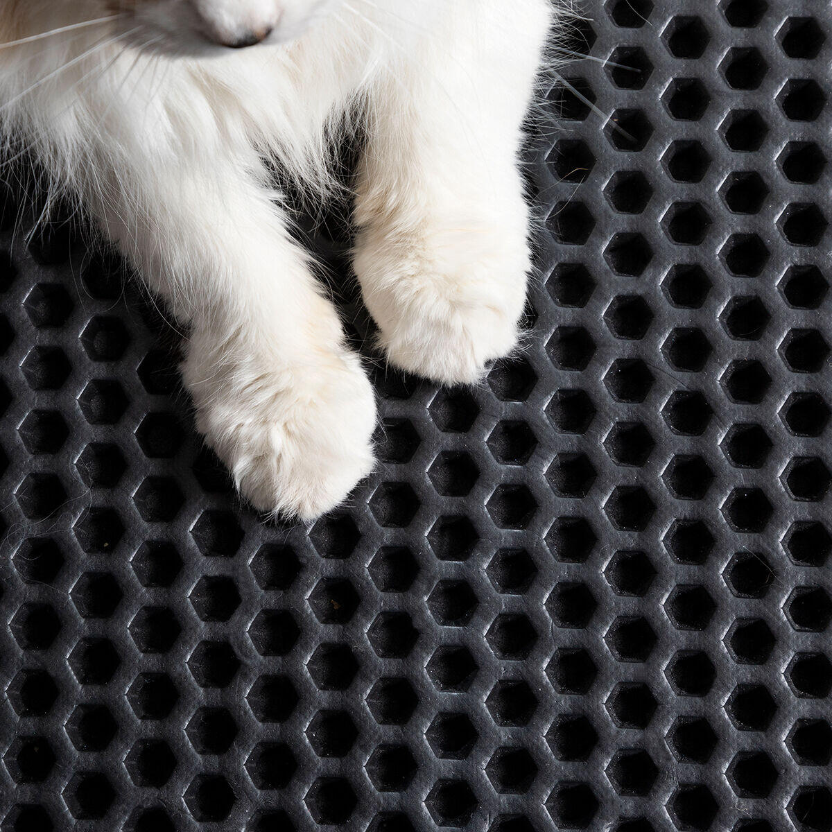 Alfombra para Arenero de Gatos