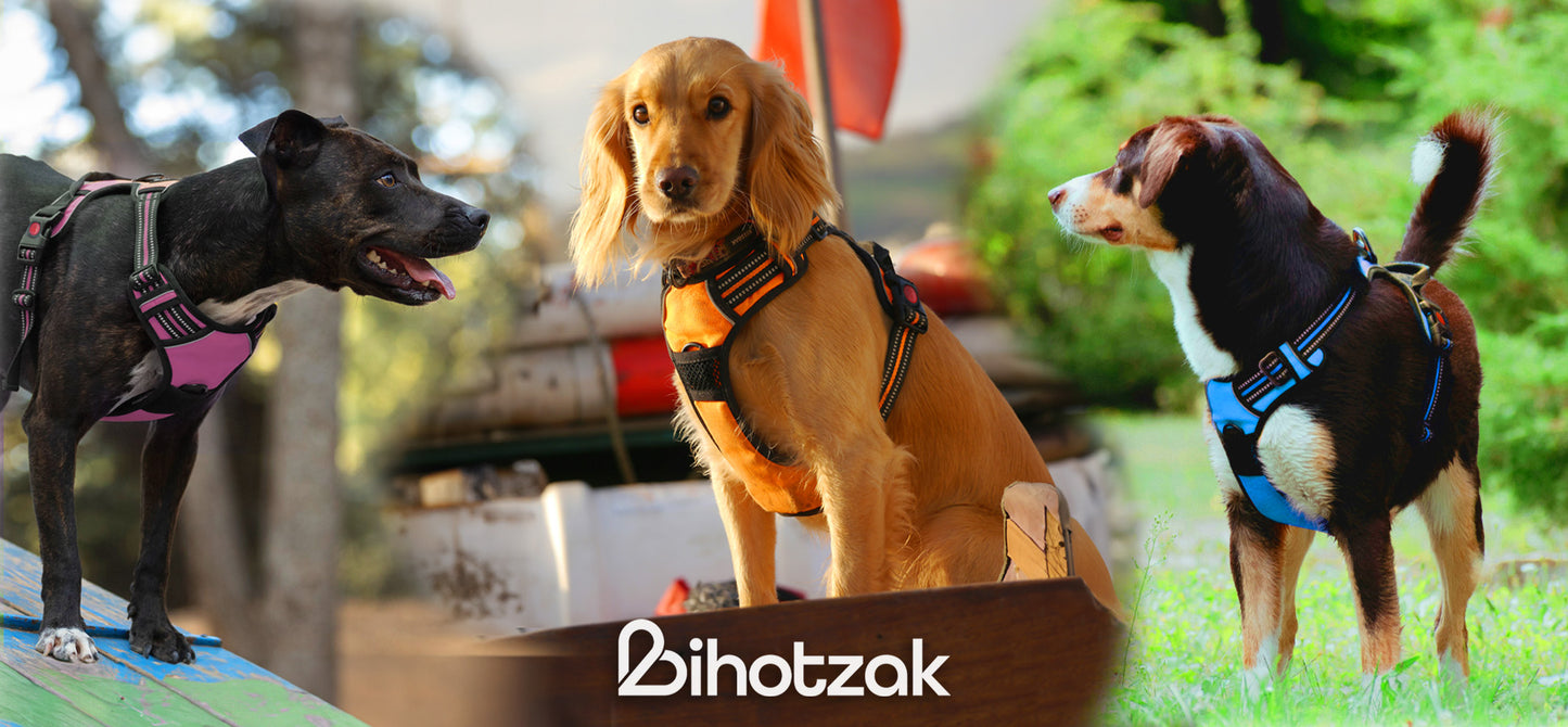 Arnés de perro BIHOTZAK