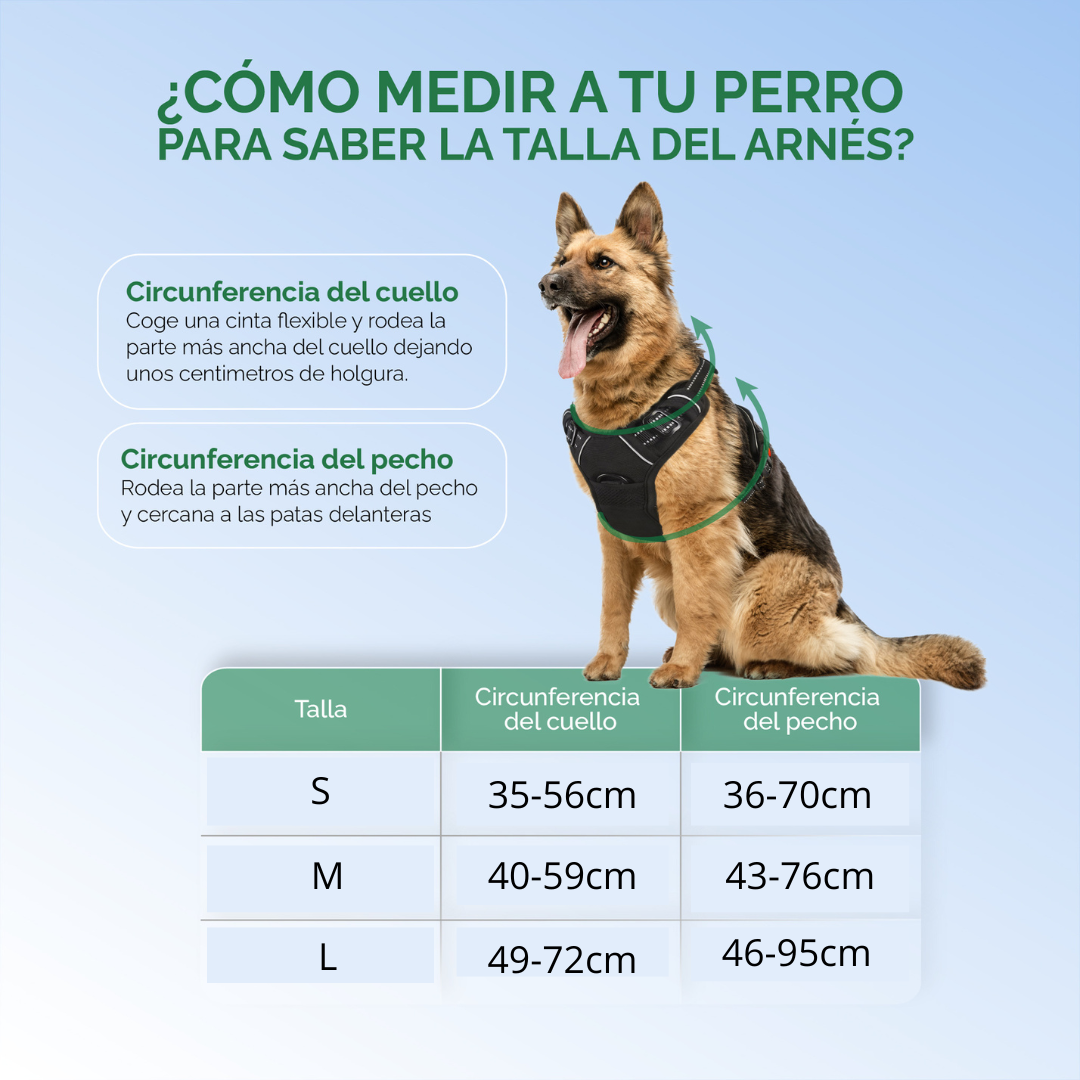 Arnés de perro BIHOTZAK