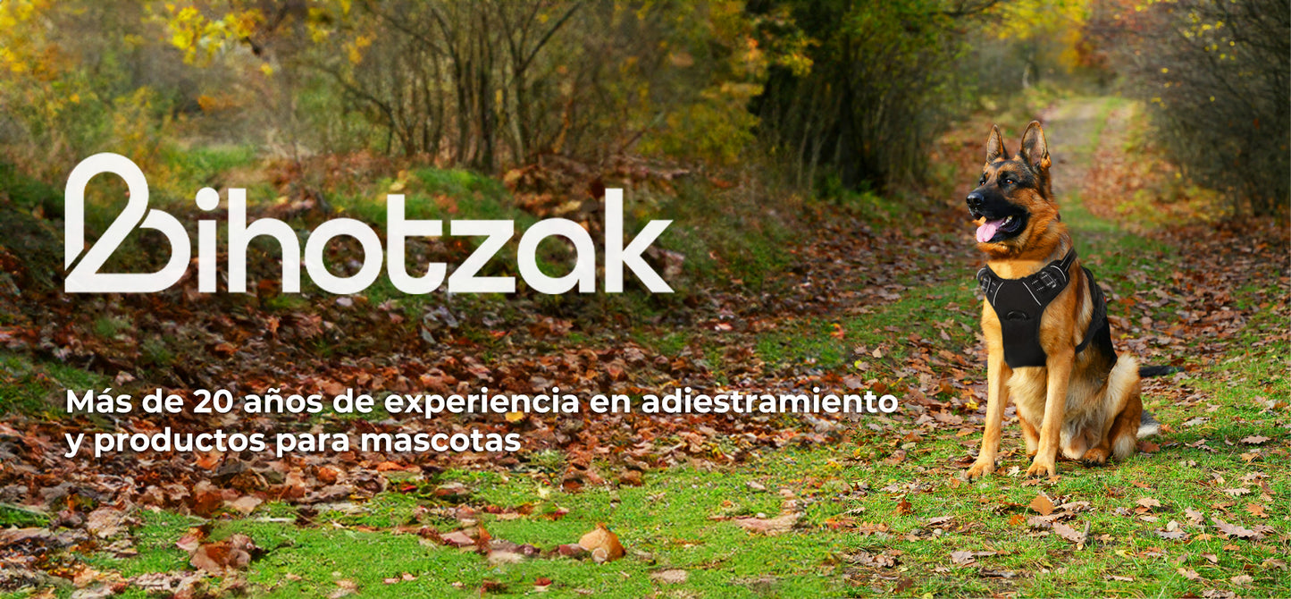 Arnés de perro BIHOTZAK