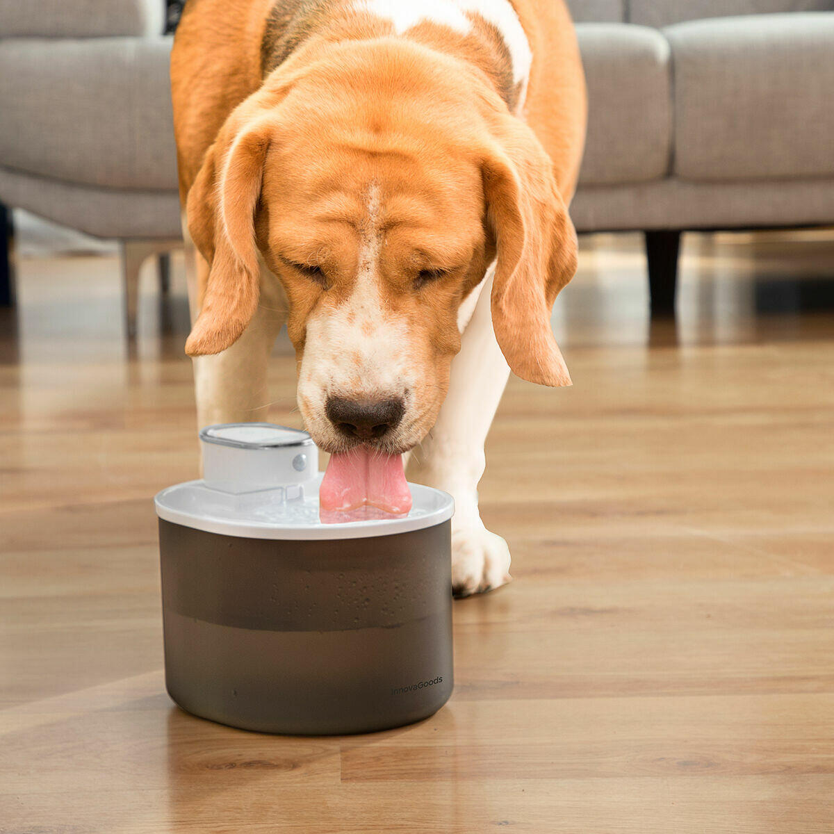 Fuente para Gatos Recargable con Sensor Refopet